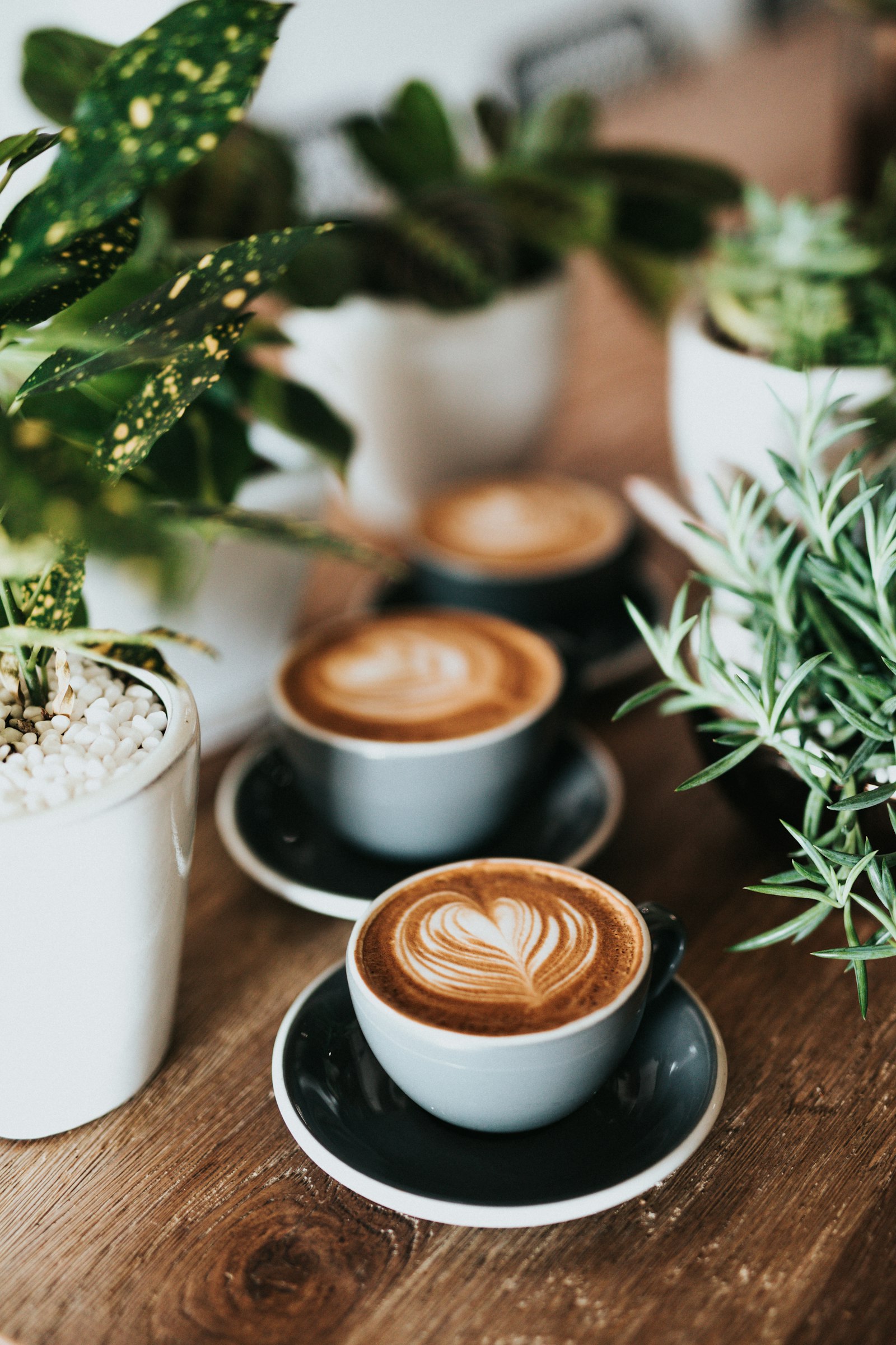 Cappuccino with latte art